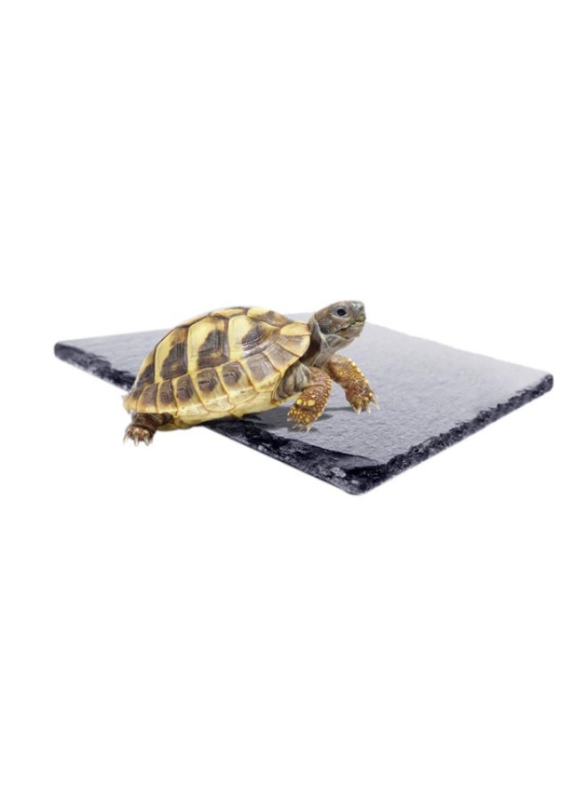 NomoyPet لوح شحذ مخالب الزواحف والسلاحف - 10×10 سم - Image 1